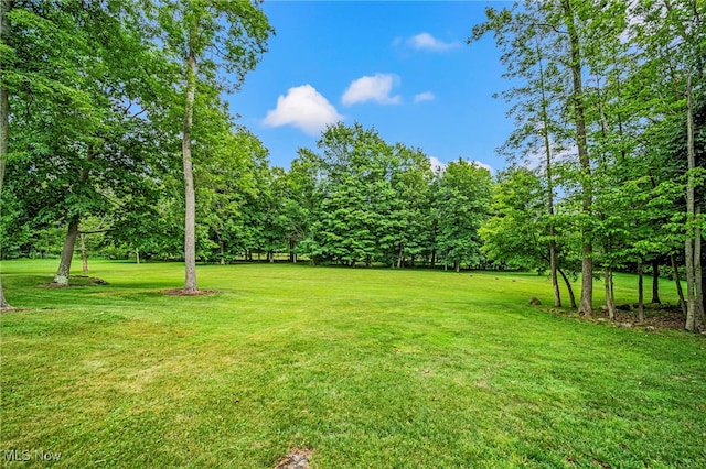 11275 Beechnut Ln, Chardon, OH 44024 - view of grassy yard with view of scattered trees
