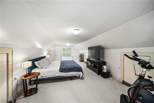 6735 Wakefield Rd, Hiram, OH 44234 - bedroom with a textured ceiling, lofted ceiling, and carpet