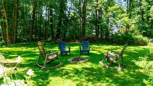 6735 Wakefield Rd, Hiram, OH 44234 - view of green lawn with an outdoor fire pit