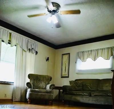 134 E Summit St, Alliance, OH 44601 - living room with wood finished floors and a ceiling fan