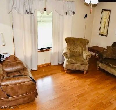 134 E Summit St, Alliance, OH 44601 - living area with light wood-type flooring and ceiling fan