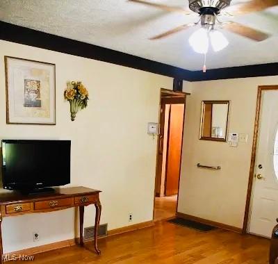 134 E Summit St, Alliance, OH 44601 - living room with light wood finished floors and a ceiling fan