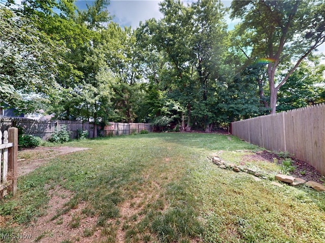 457 Liberty St, Painesville, OH 44077 - photo 34