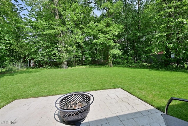 4933 Lear Nagle Rd, North Ridgeville, OH 44039 - view of yard featuring a fire pit and a patio