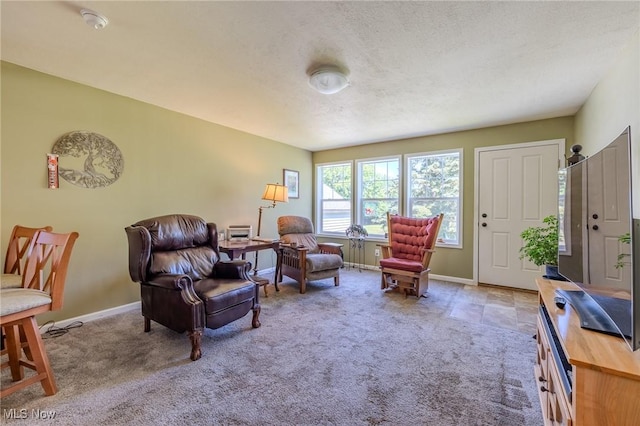 4959 Anderson Rd, Lyndhurst, OH 44124 - sitting room with carpet and a textured ceiling