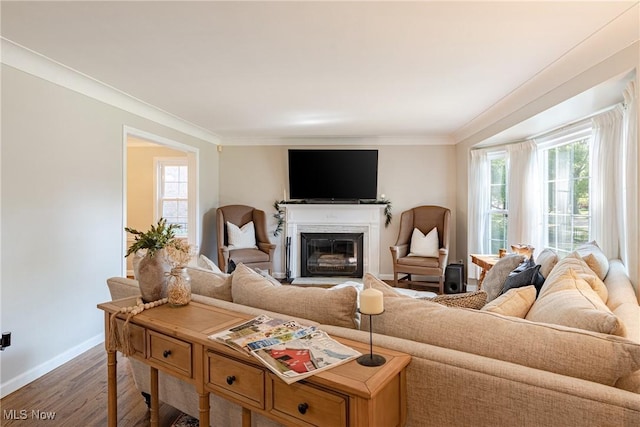 2383 Saybrook Rd, University Heights, OH 44118 - living area featuring healthy amount of natural light, wood finished floors, crown molding, and a glass covered fireplace