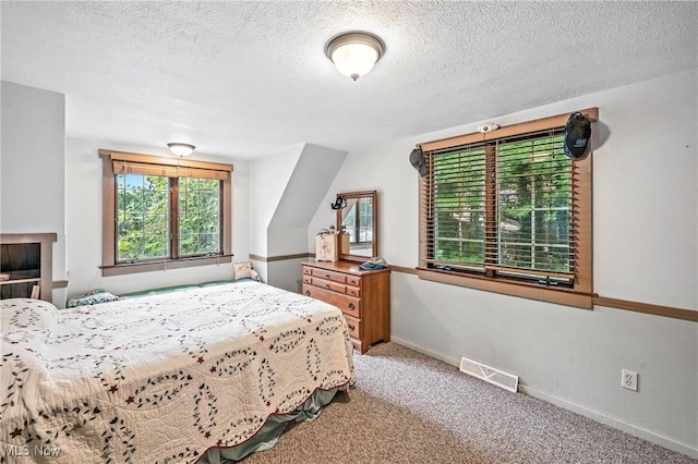 1173 Ridge Rd, Salem, OH 44460 - bedroom featuring multiple windows, carpet floors, and a textured ceiling