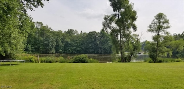1173 Ridge Rd, Salem, OH 44460 - view of home's community featuring a trampoline and a lawn