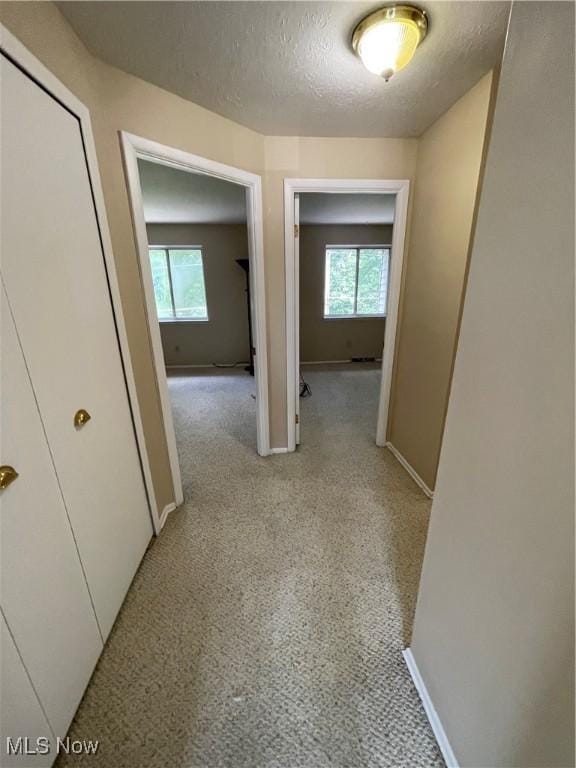 6466 Concord Rd Unit M4, Parma, OH 44134 - corridor featuring healthy amount of natural light, a textured ceiling, and light colored carpet