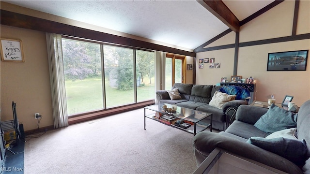 6724 Somerset Dr, Brecksville, OH 44141 - photo 10