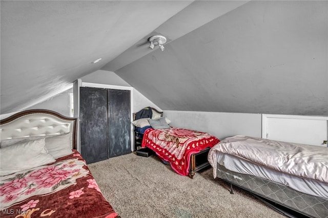 29100 Weber Ave, Wickliffe, OH 44092 - bedroom with carpet floors and lofted ceiling