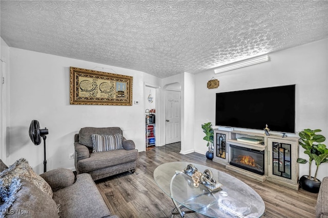 29100 Weber Ave, Wickliffe, OH 44092 - living area featuring arched walkways, a glass covered fireplace, and wood finished floors