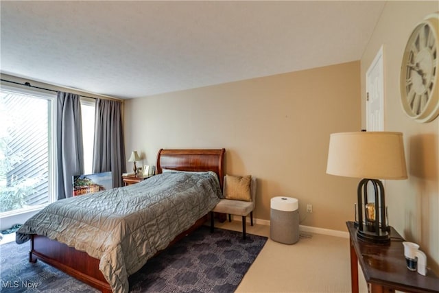 985 Canyon View Rd Unit 204C, Northfield, OH 44067 - bedroom with carpet and baseboards