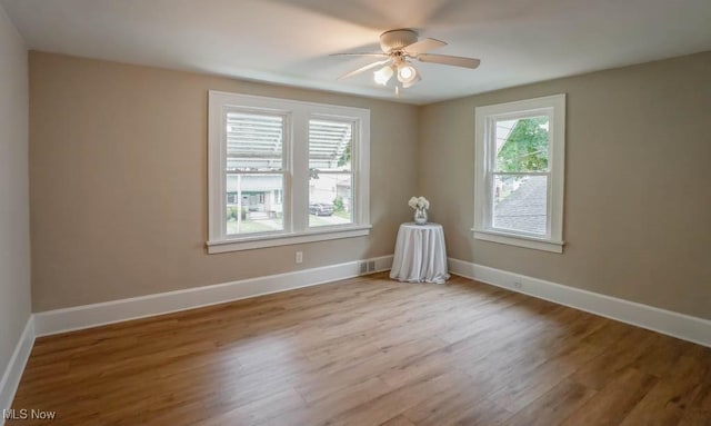 918 Bellflower Ave SW, Canton, OH 44710 - photo 23