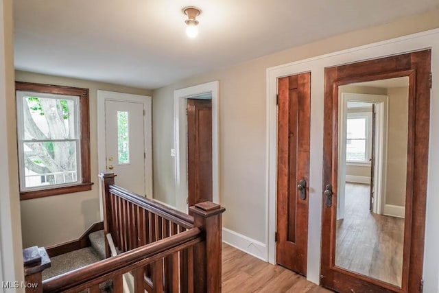 918 Bellflower Ave SW, Canton, OH 44710 - photo 19