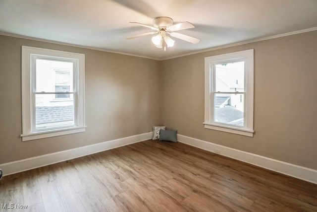 918 Bellflower Ave SW, Canton, OH 44710 - photo 25