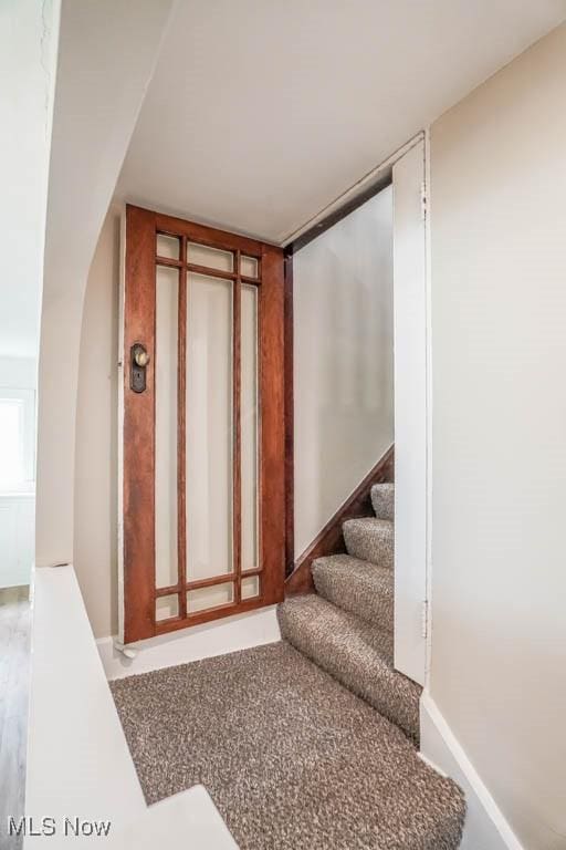 918 Bellflower Ave SW, Canton, OH 44710 - photo 18