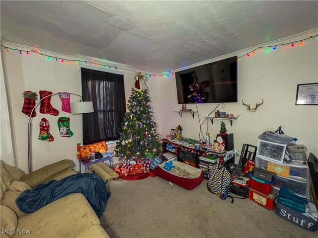 166 S Schenley Ave, Youngstown, OH 44509 - photo 3