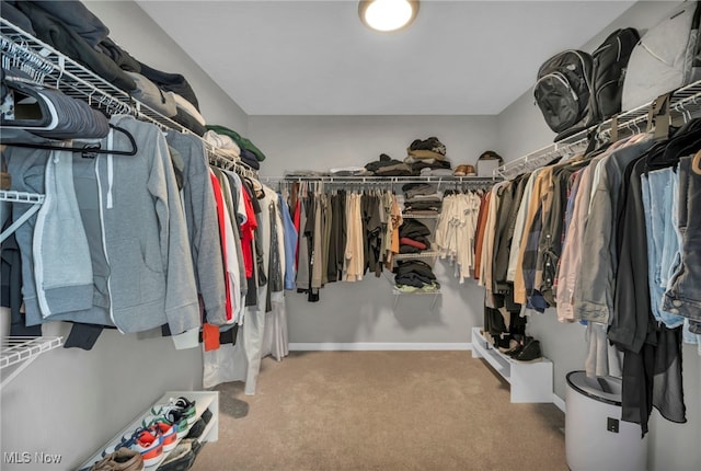 1383 Easton Way, Brunswick, OH 44212 - walk in closet featuring carpet