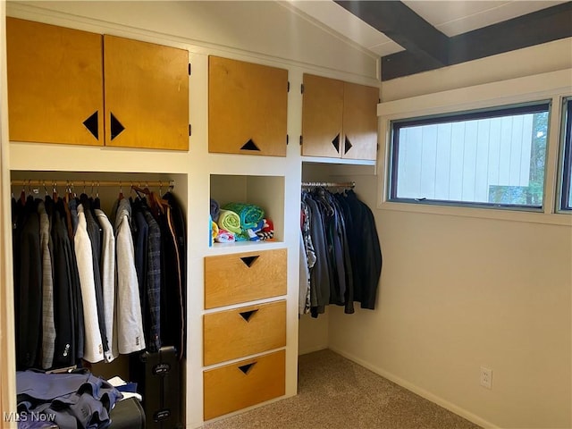 17079 Cats Den Rd, Chagrin Falls, OH 44023 - view of closet