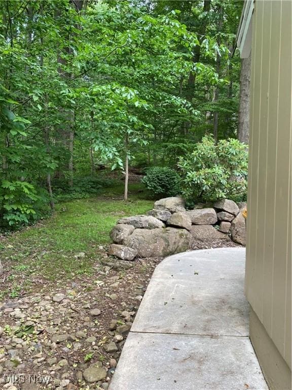 17079 Cats Den Rd, Chagrin Falls, OH 44023 - view of yard