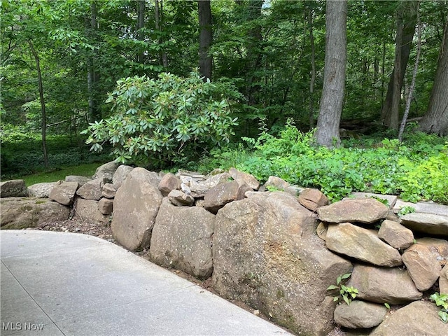 17079 Cats Den Rd, Chagrin Falls, OH 44023 - exterior view of a forest
