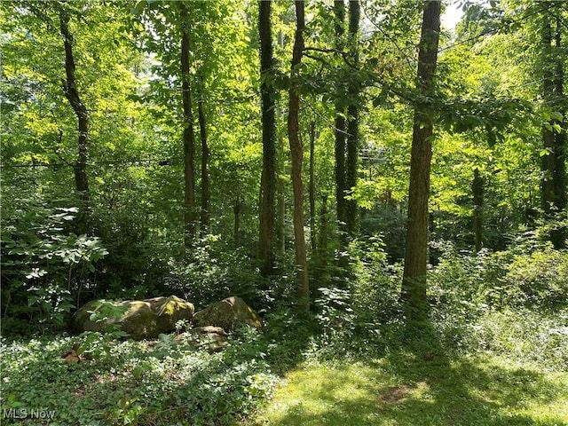 17079 Cats Den Rd, Chagrin Falls, OH 44023 - view of wooded area