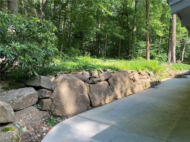17079 Cats Den Rd, Chagrin Falls, OH 44023 - view of yard with a wooded view