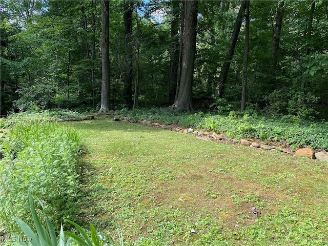17079 Cats Den Rd, Chagrin Falls, OH 44023 - view of yard featuring a forest view