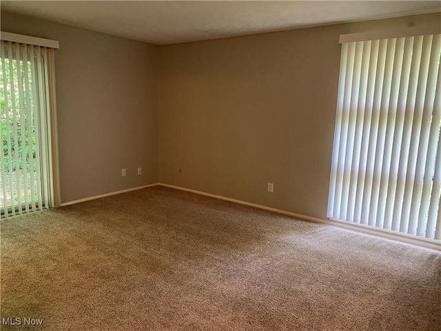 17079 Cats Den Rd, Chagrin Falls, OH 44023 - carpeted empty room with baseboards