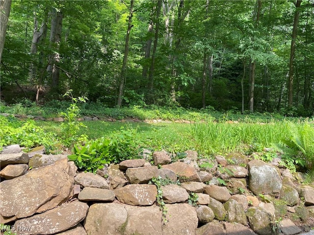 17079 Cats Den Rd, Chagrin Falls, OH 44023 - view of tree filled area