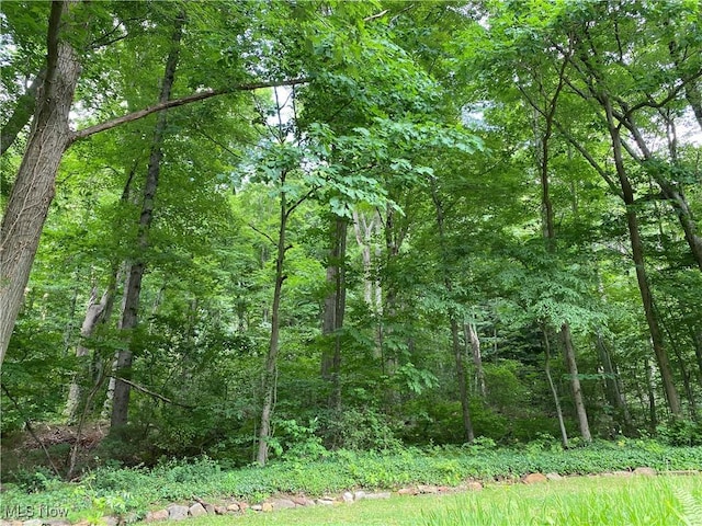 17079 Cats Den Rd, Chagrin Falls, OH 44023 - view of tree filled area