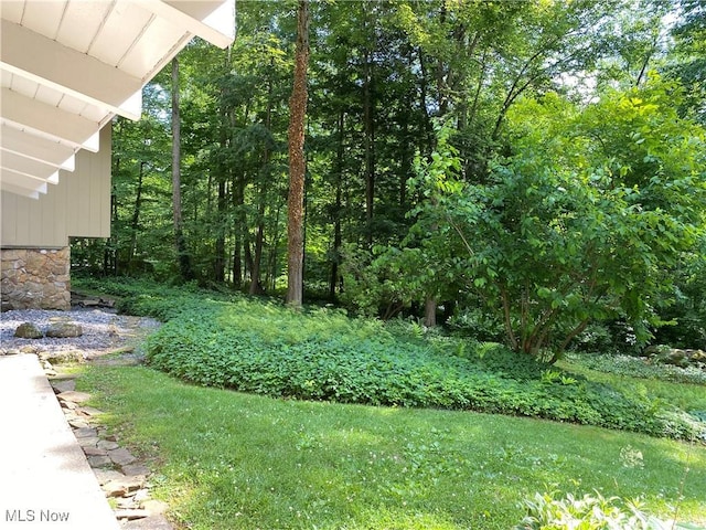 17079 Cats Den Rd, Chagrin Falls, OH 44023 - view of yard