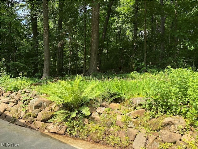 17079 Cats Den Rd, Chagrin Falls, OH 44023 - view of local wilderness
