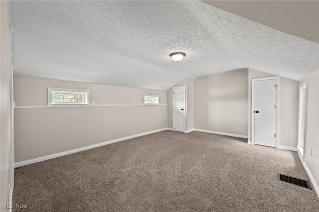 3695 S Hametown Rd, Norton, OH 44203 - bonus room featuring lofted ceiling, a textured ceiling, carpet floors, and plenty of natural light