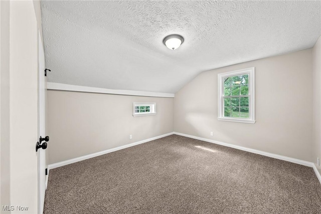 3695 S Hametown Rd, Norton, OH 44203 - bonus room with vaulted ceiling, carpet, healthy amount of natural light, and a textured ceiling