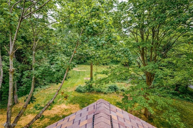 3695 S Hametown Rd, Norton, OH 44203 - view of yard with a forest view