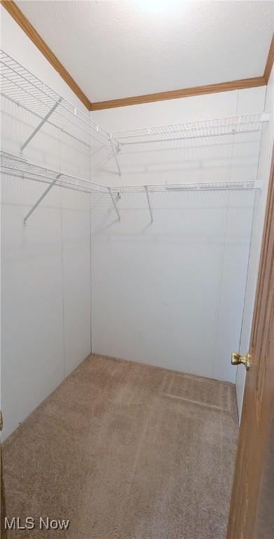 226 Troy Oaks Dr, Hiram, OH 44234 - spacious closet with carpet