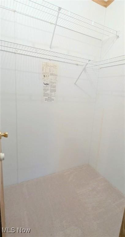 226 Troy Oaks Dr, Hiram, OH 44234 - view of spacious closet