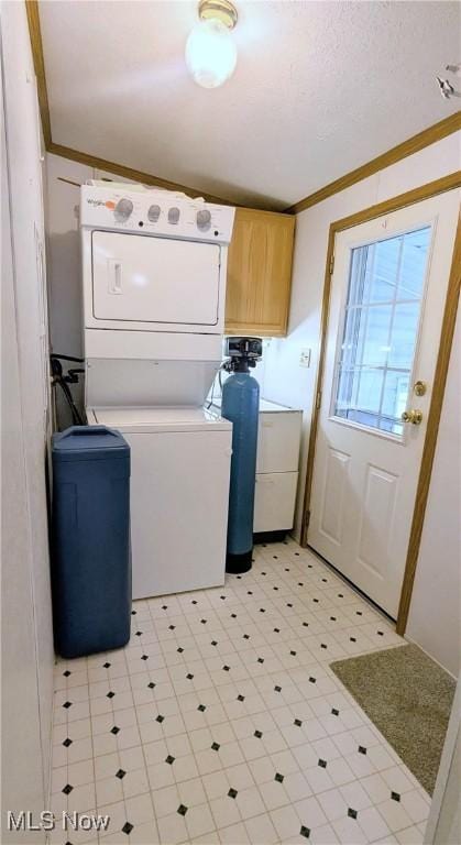 226 Troy Oaks Dr, Hiram, OH 44234 - laundry area with stacked washer / dryer, cabinet space, ornamental molding, and light flooring