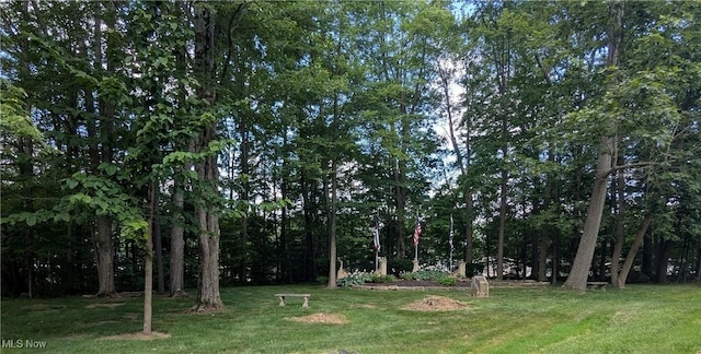 226 Troy Oaks Dr, Hiram, OH 44234 - view of grassy yard