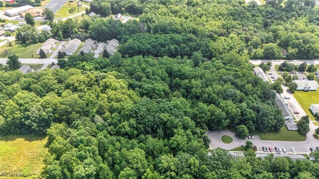 V/L Oneil Blvd, Sheffield Village, OH 44055 - photo 10