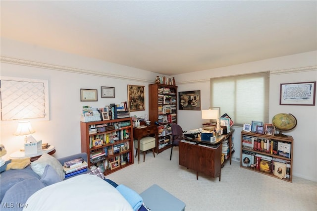 5507 Meadow Wood Blvd, Lyndhurst, OH 44124 - photo 44