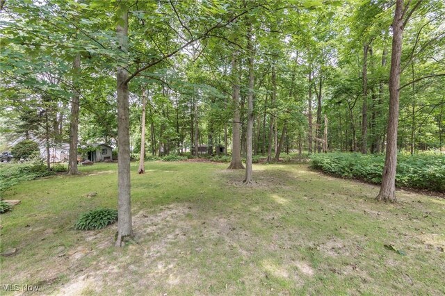 5507 Meadow Wood Blvd, Lyndhurst, OH 44124 - photo 17