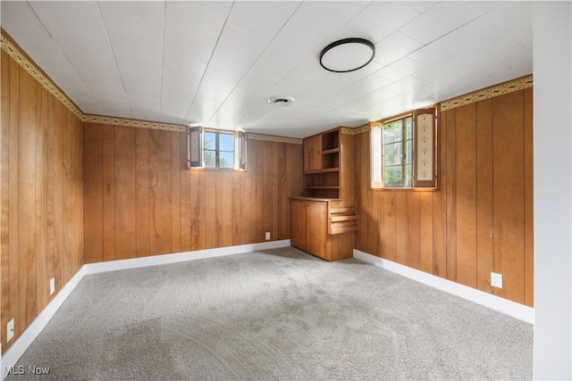 1005 Fairview Blvd, Coshocton, OH 43812 - below grade area with carpet and wood walls