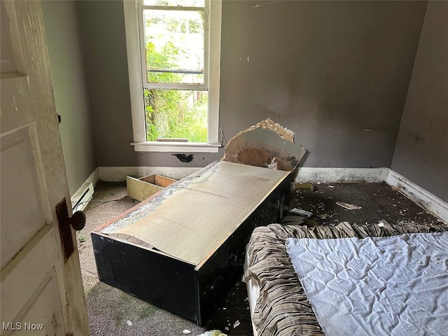 4039 Peak Ave, Toledo, OH 43612 - bedroom with baseboards