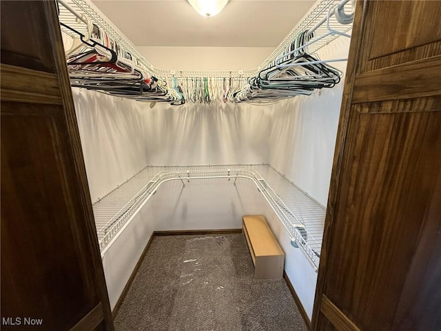 1208 3rd St NW, New Philadelphia, OH 44663 - walk in closet with carpet