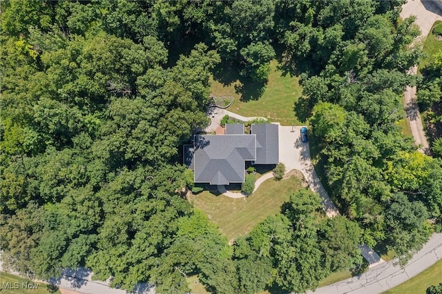 6039 Ledgeview Dr, Peninsula, OH 44264 - photo 49