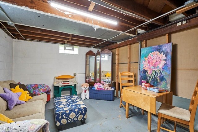 1433 Raleigh Blvd, Copley, OH 44321 - below grade area with concrete block wall