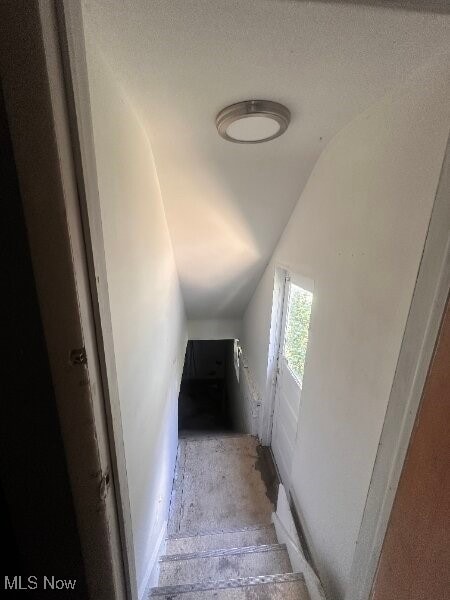 835 Toronto Ave, Toledo, OH 43609 - photo 5